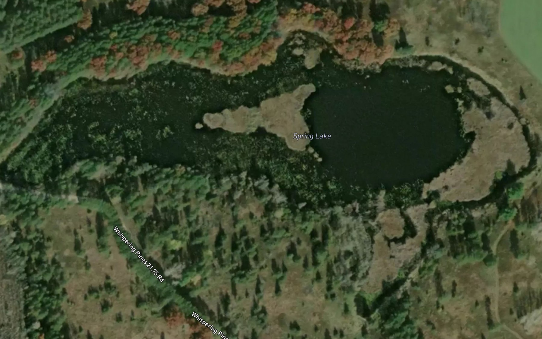 Satellite map of the Spring Lake