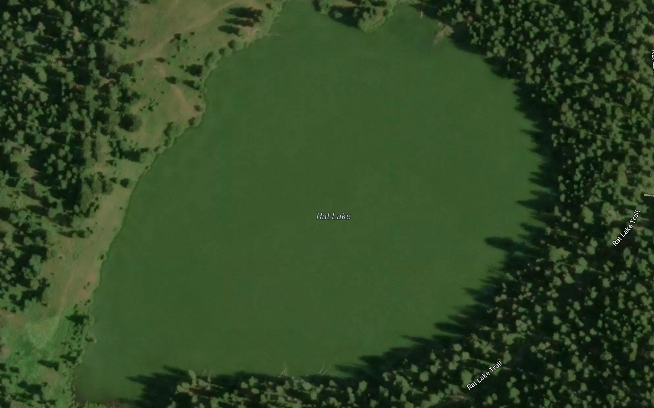 Rat Lake