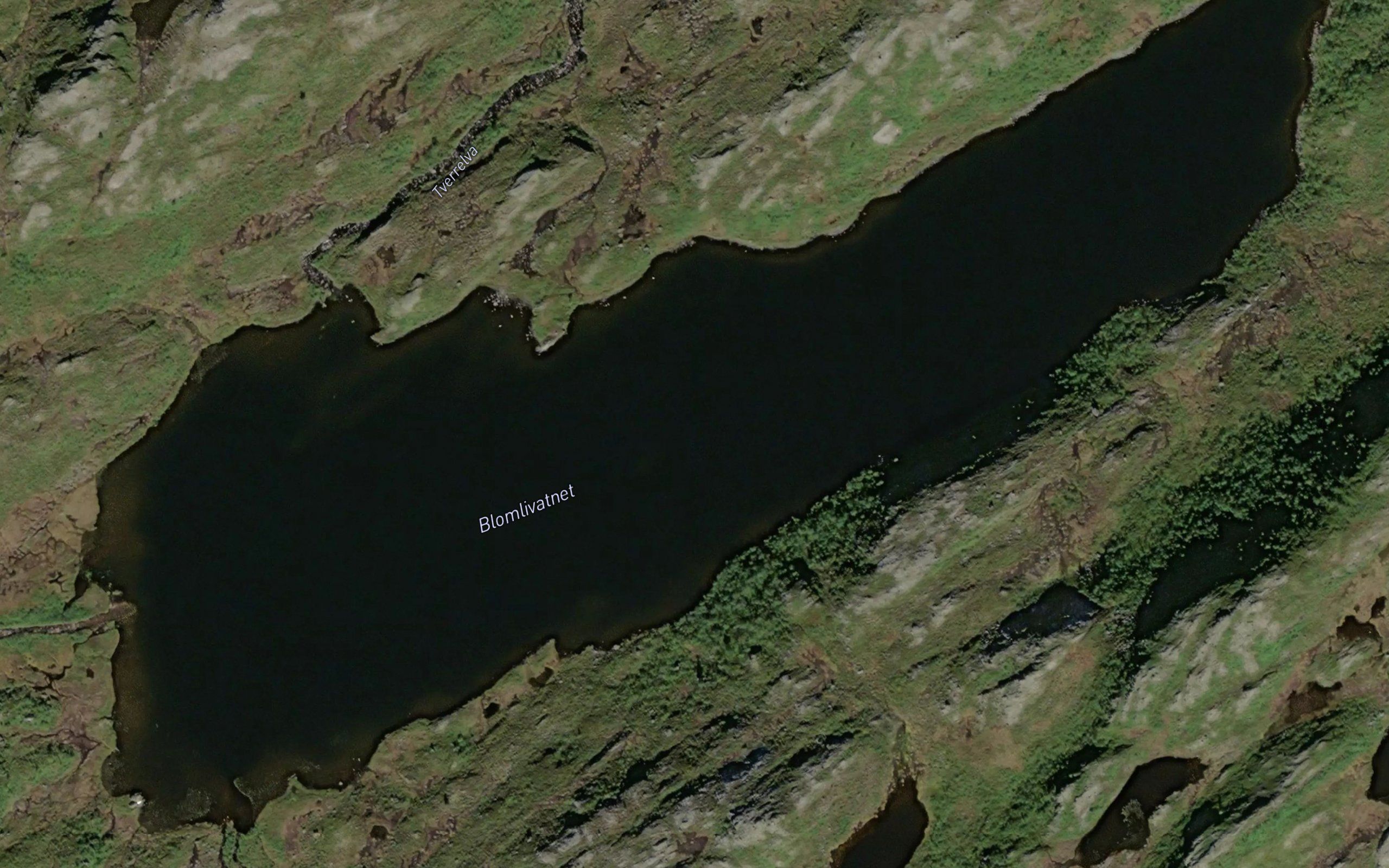 Blomlivatnet