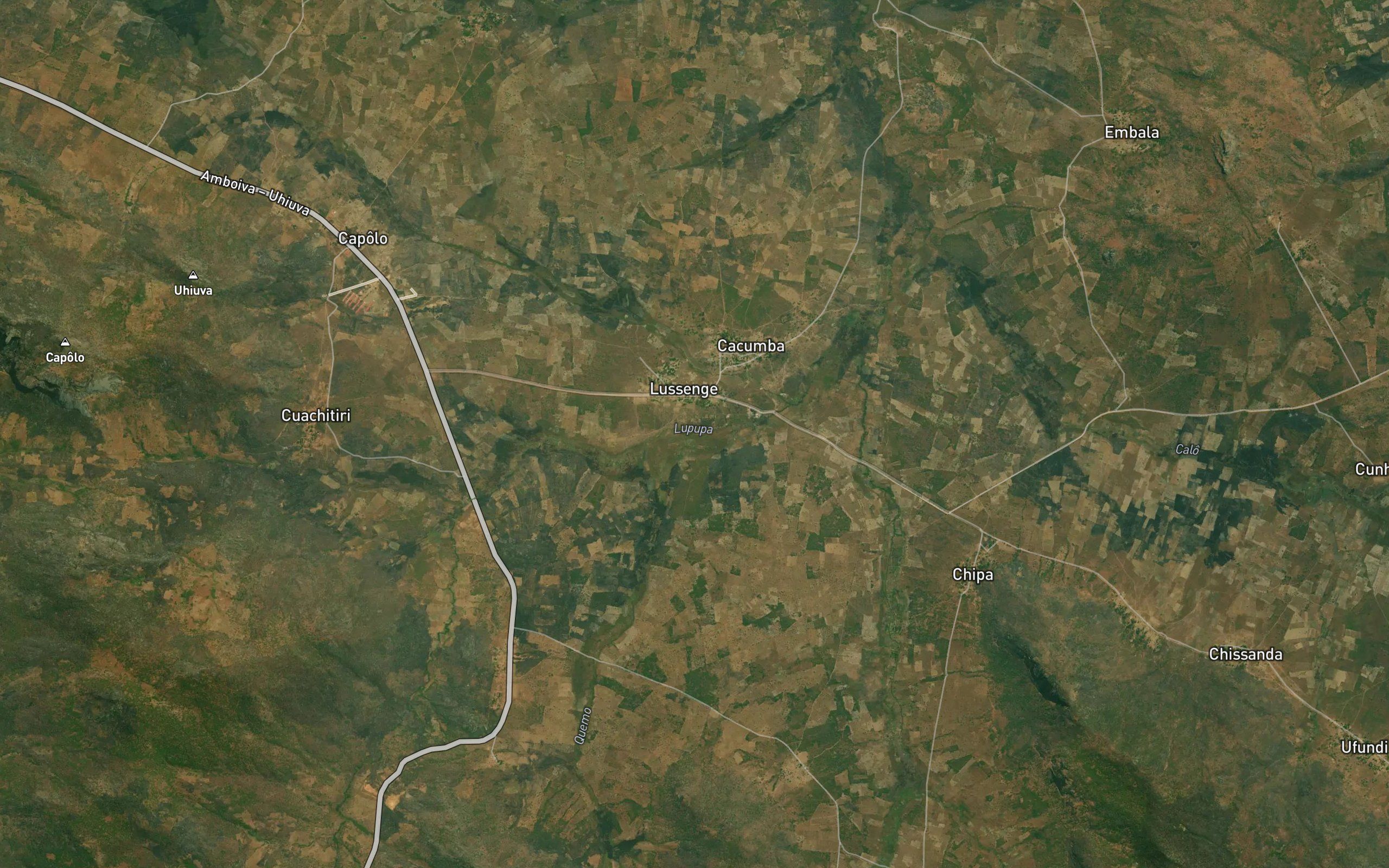 Lupupa