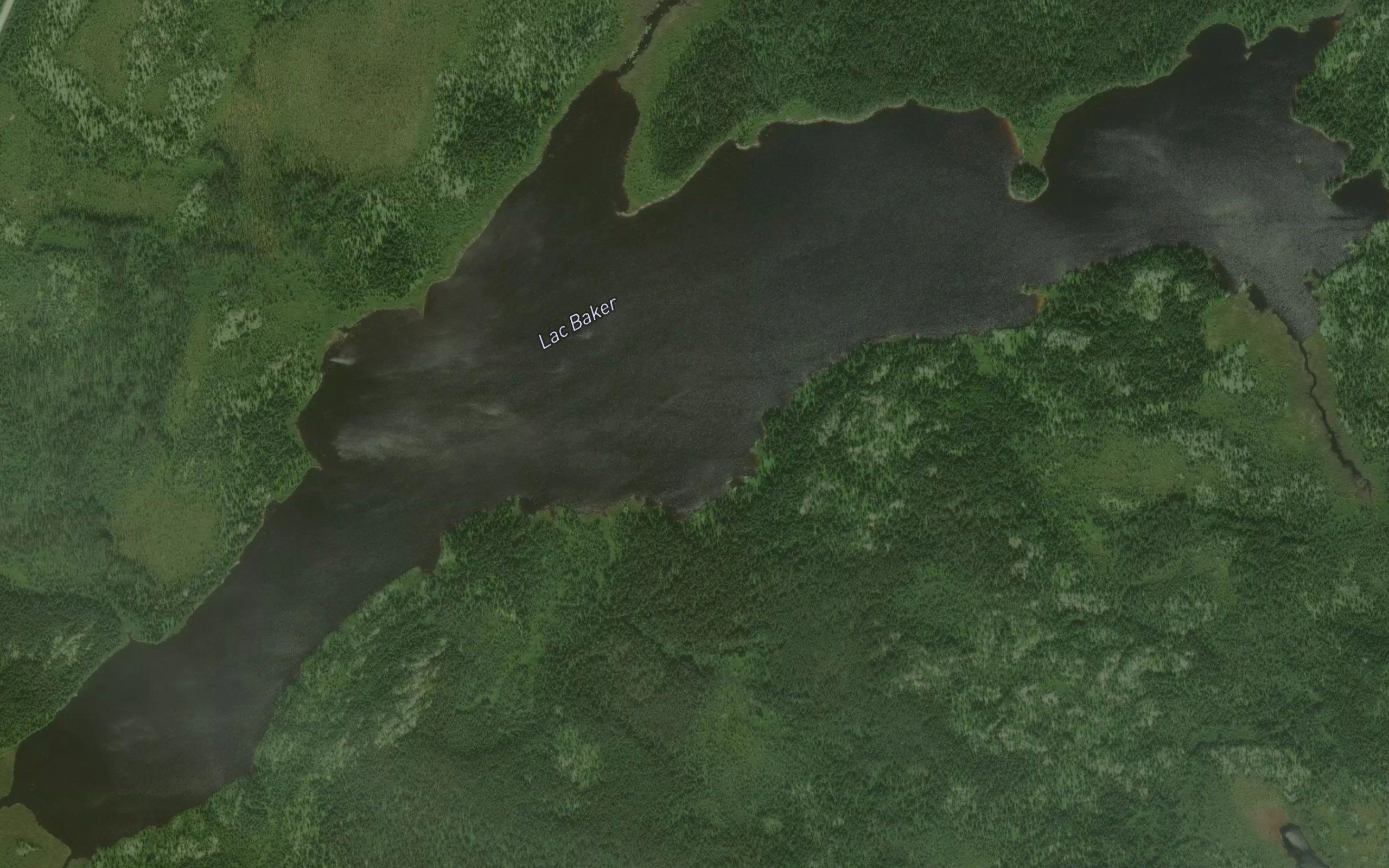 Lac Baker