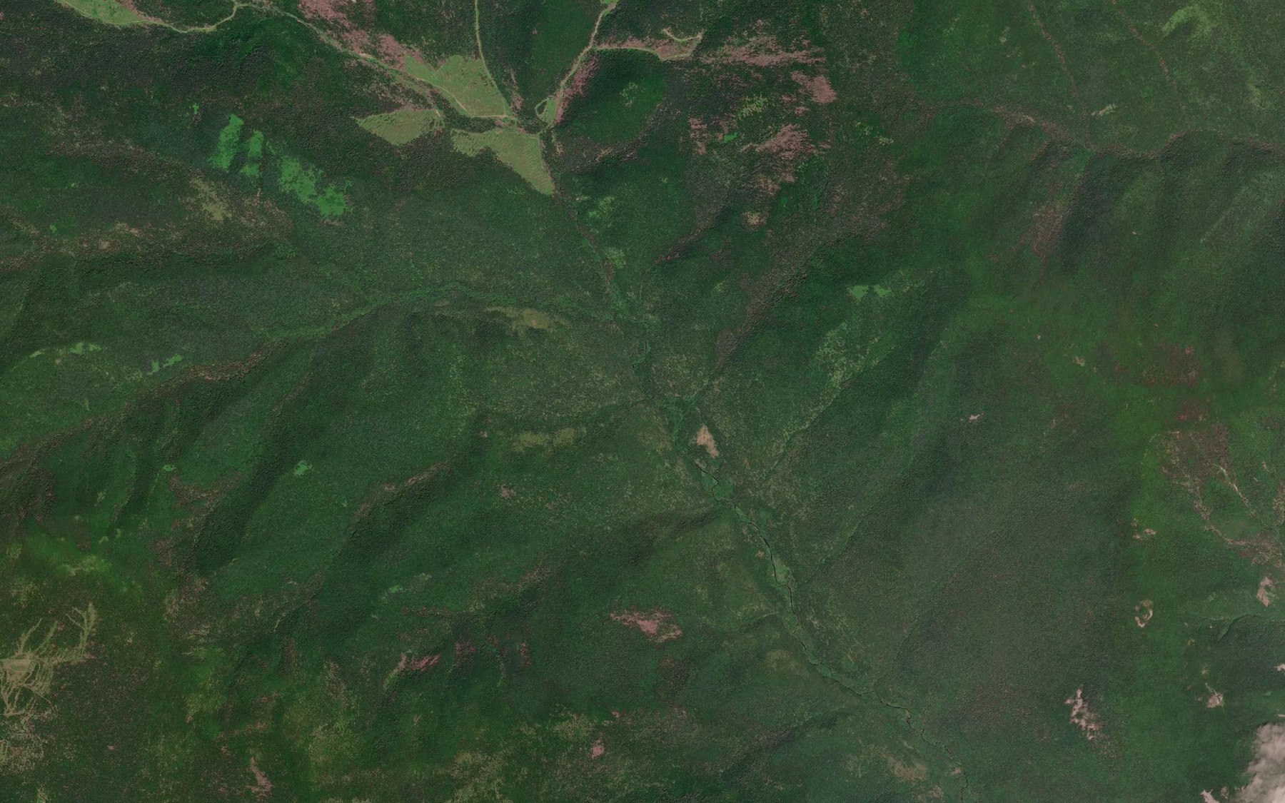 Satellite map of the Krivoy