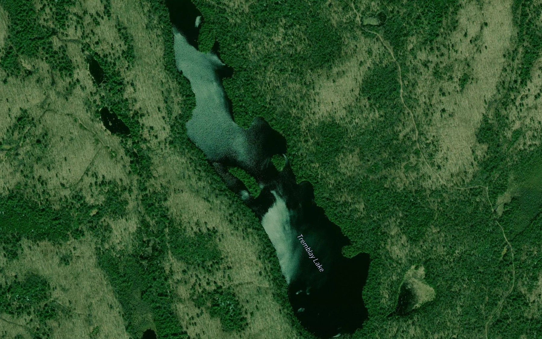 Satellite map of the Tremblay Lake