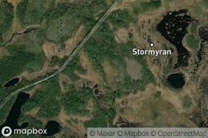 Stormyrtjarn