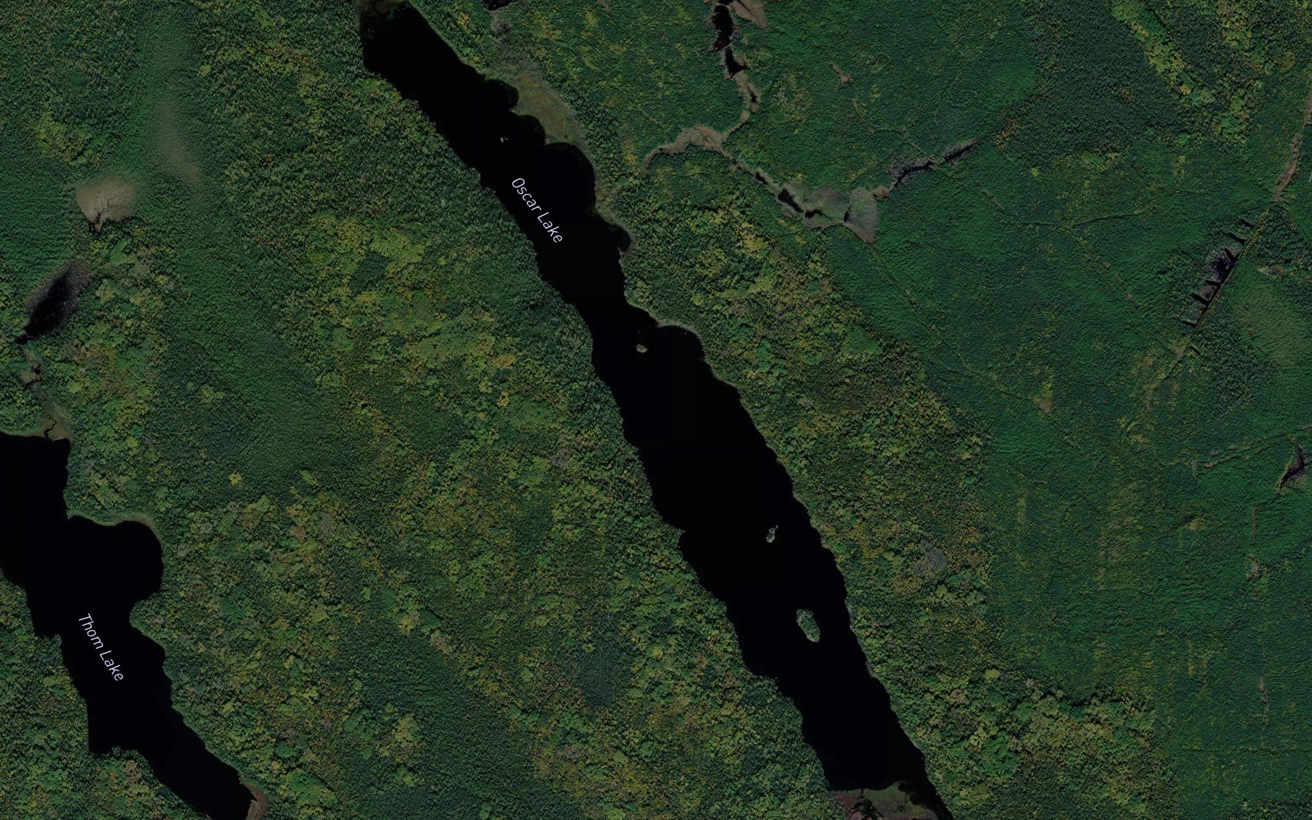 Oscar Lake