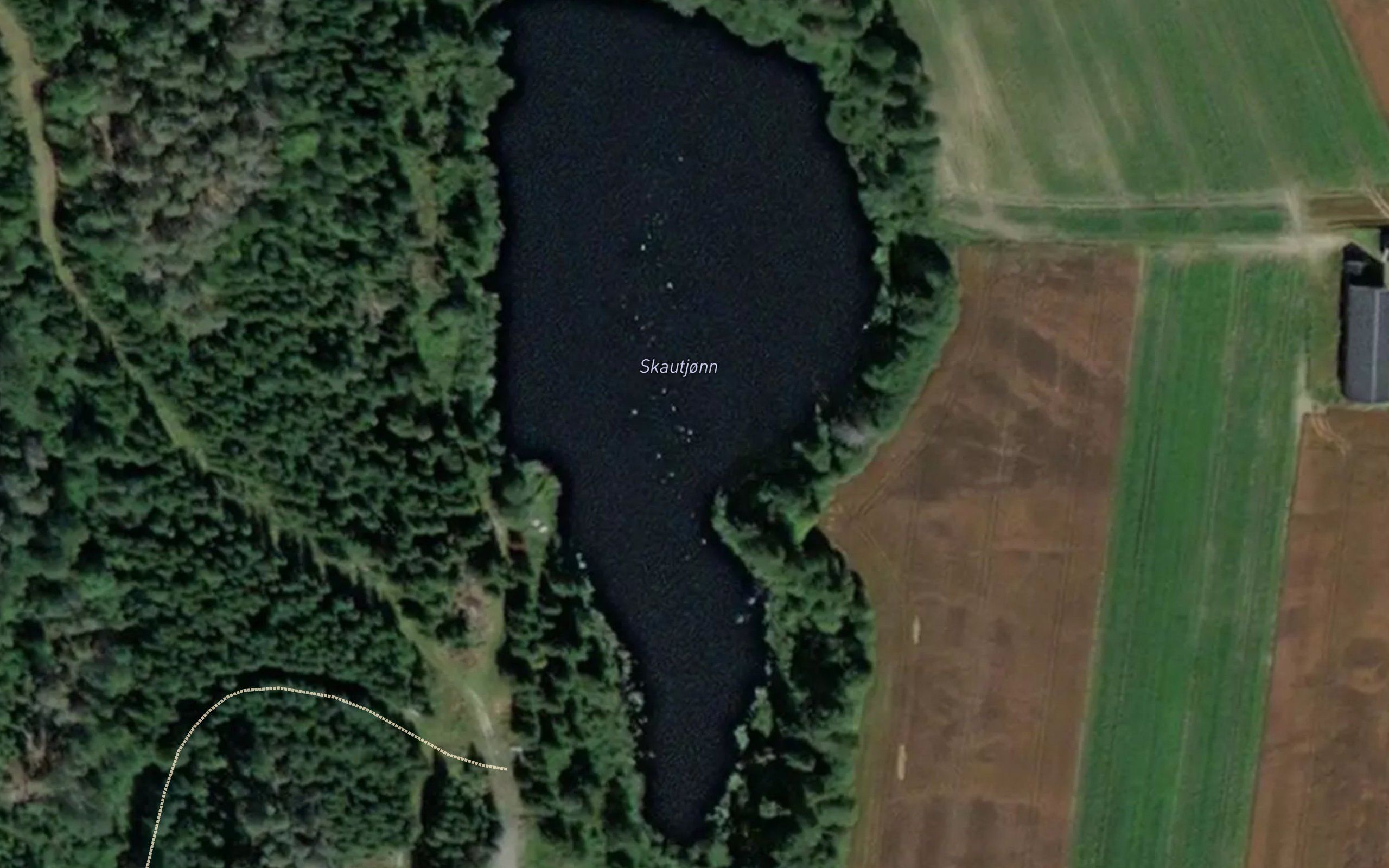 Skogtjern