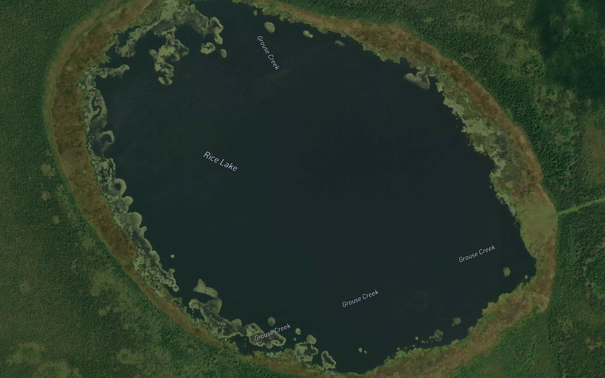 Rice Lake