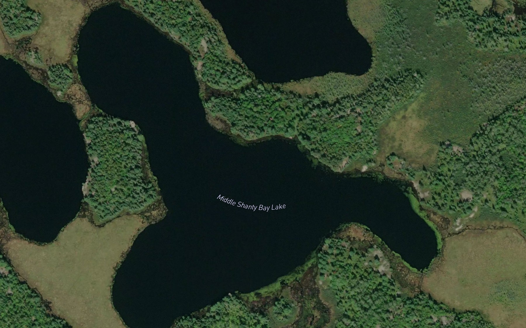 Satellite map of the Middle Shanty Bay Lake