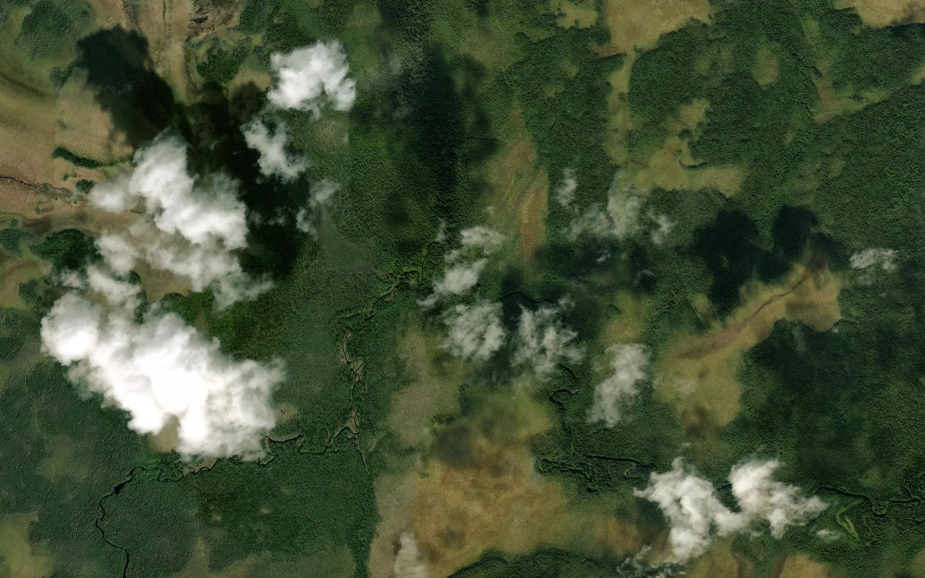 Satellite map of the Bol'shaya Minina