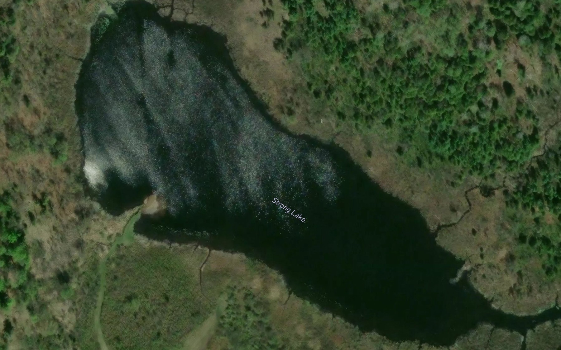 Satellite map of the Strong Lake