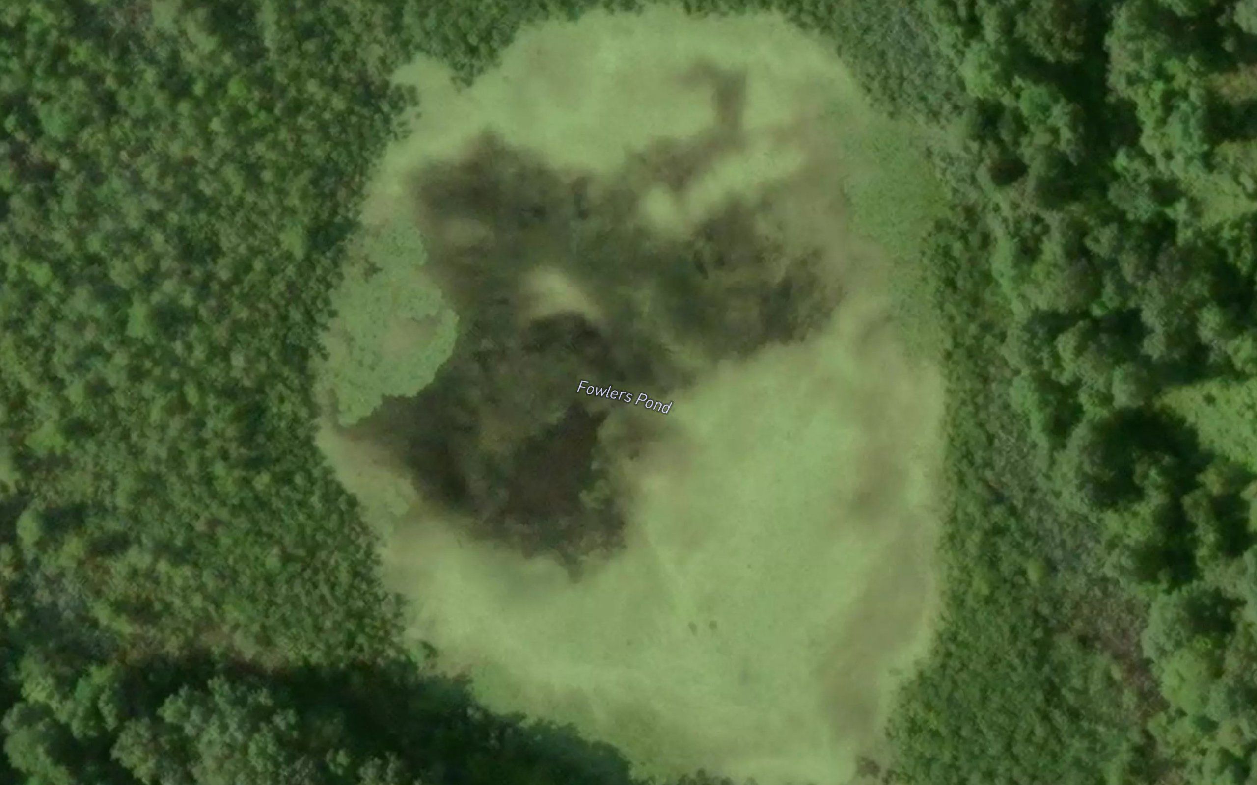 Fowlers Pond