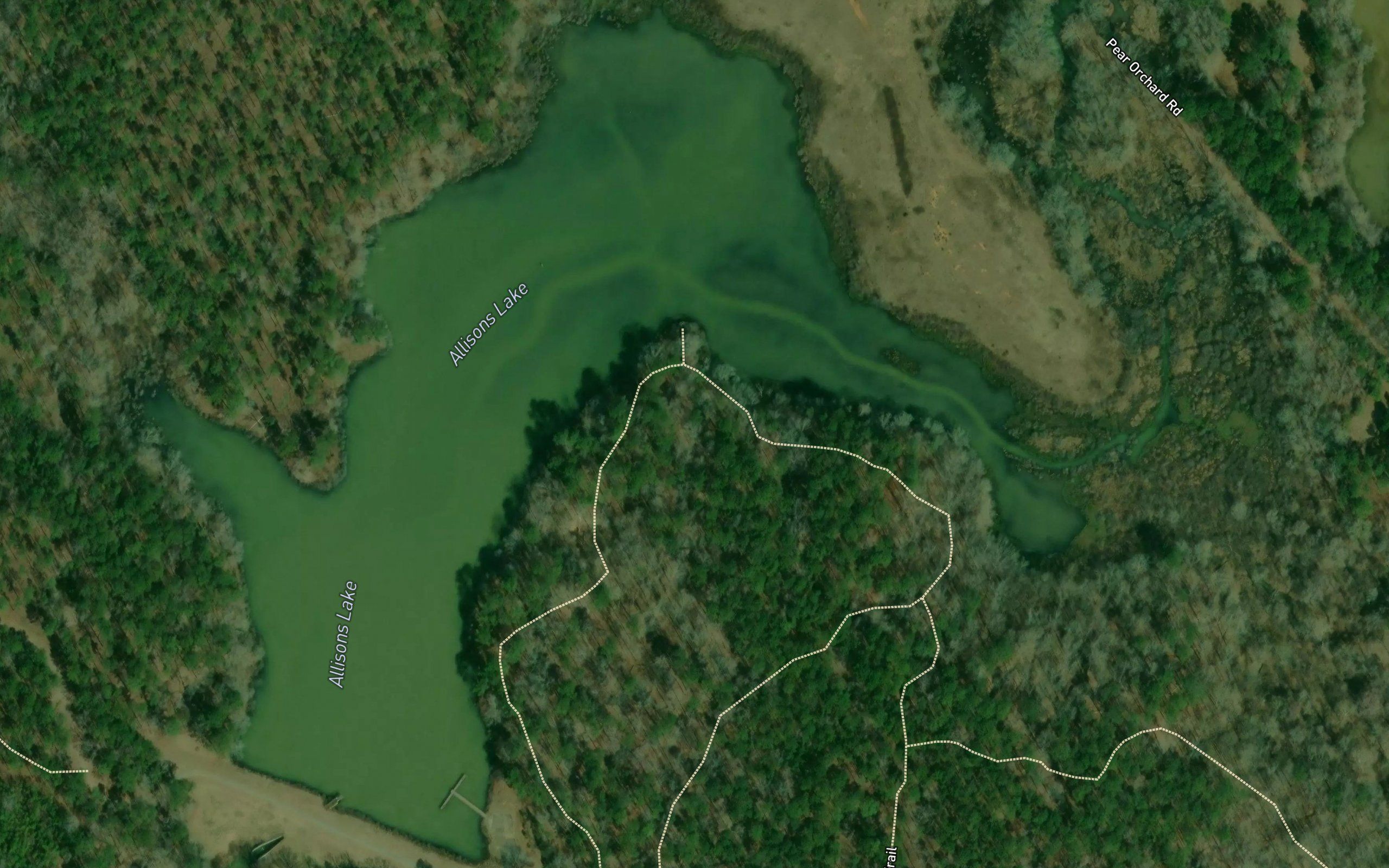Allisons Lake