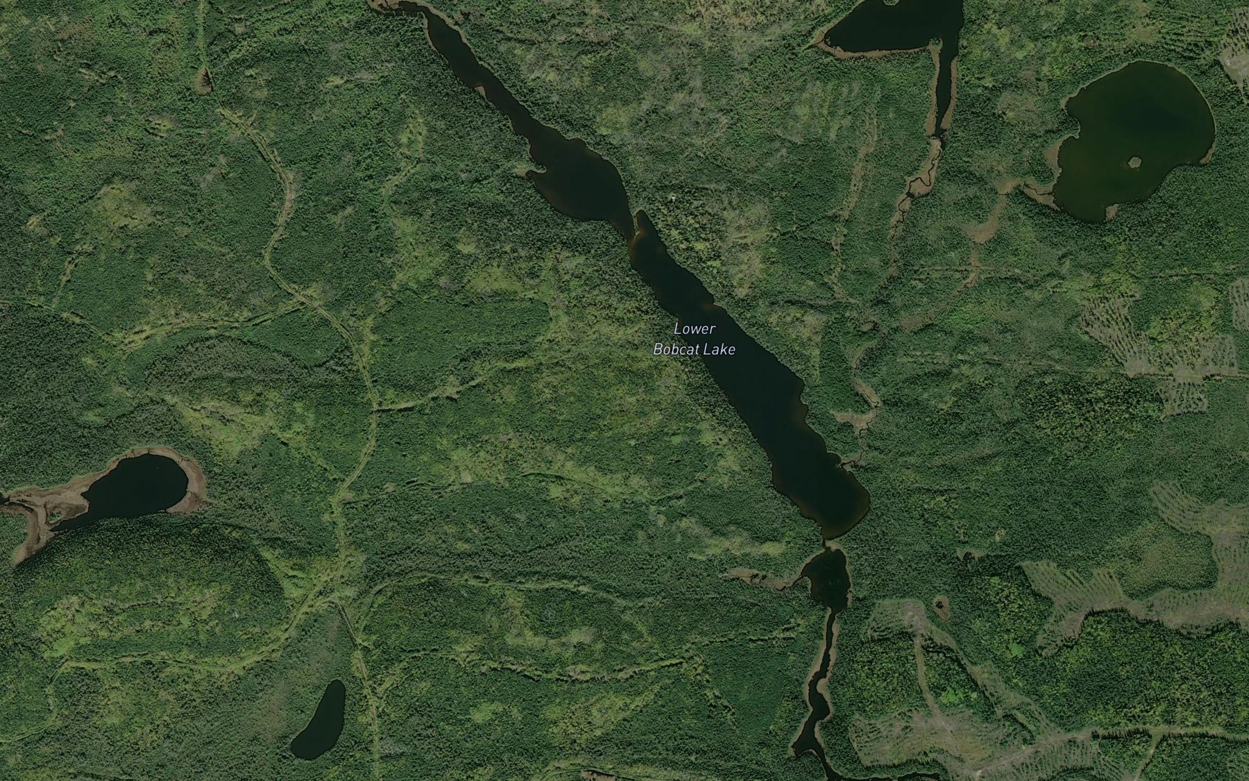 Satellite map of the Lower Bobcat Lake
