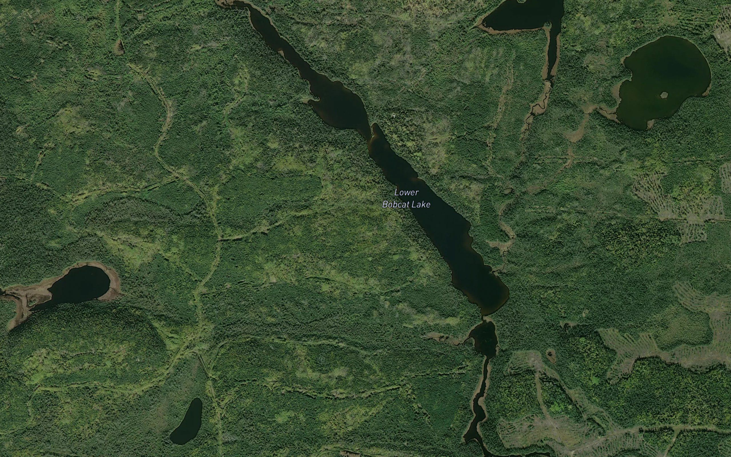 Lower Bobcat Lake