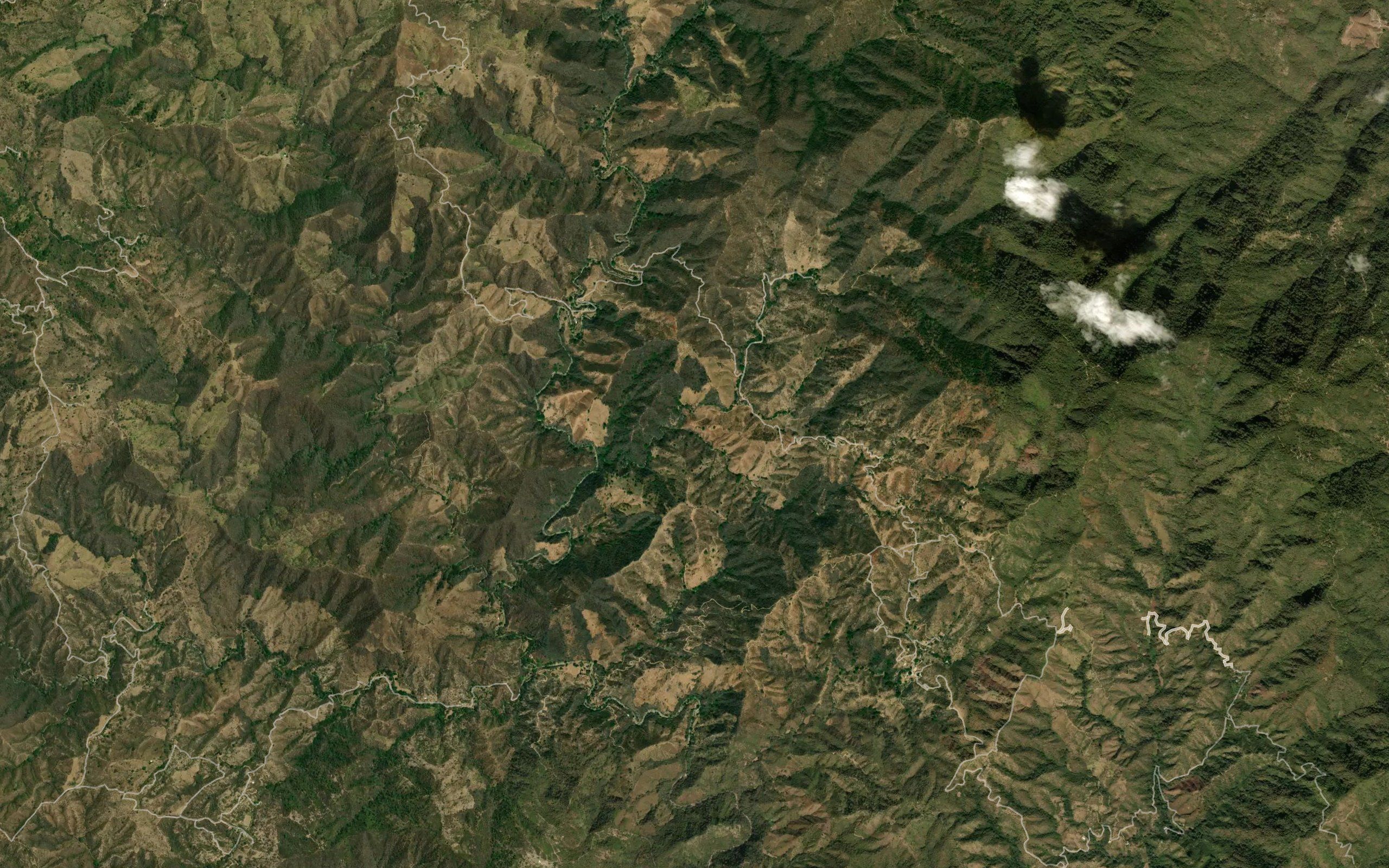 Barranca Arteaga