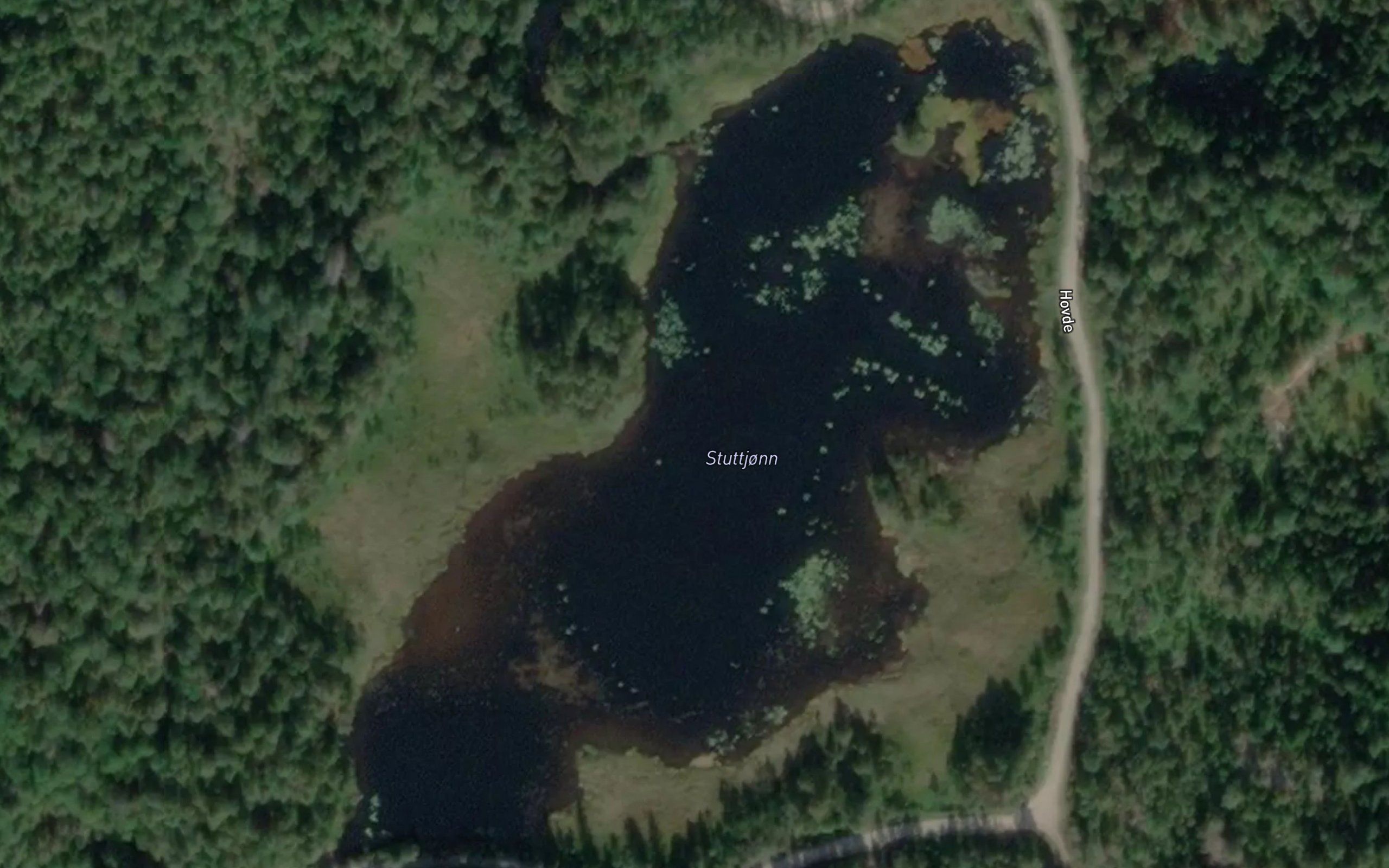 Stutetjern