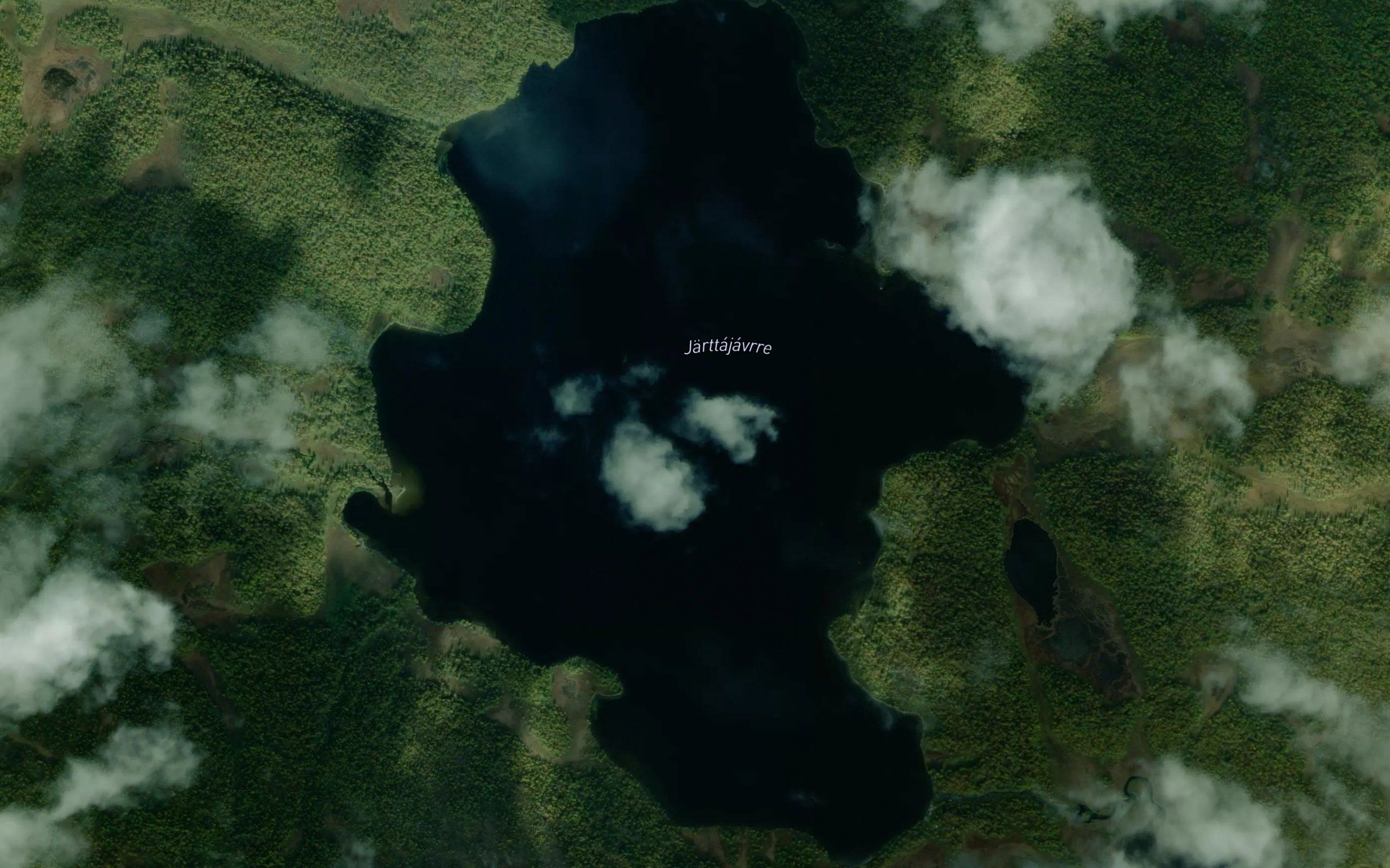 Jartajaure