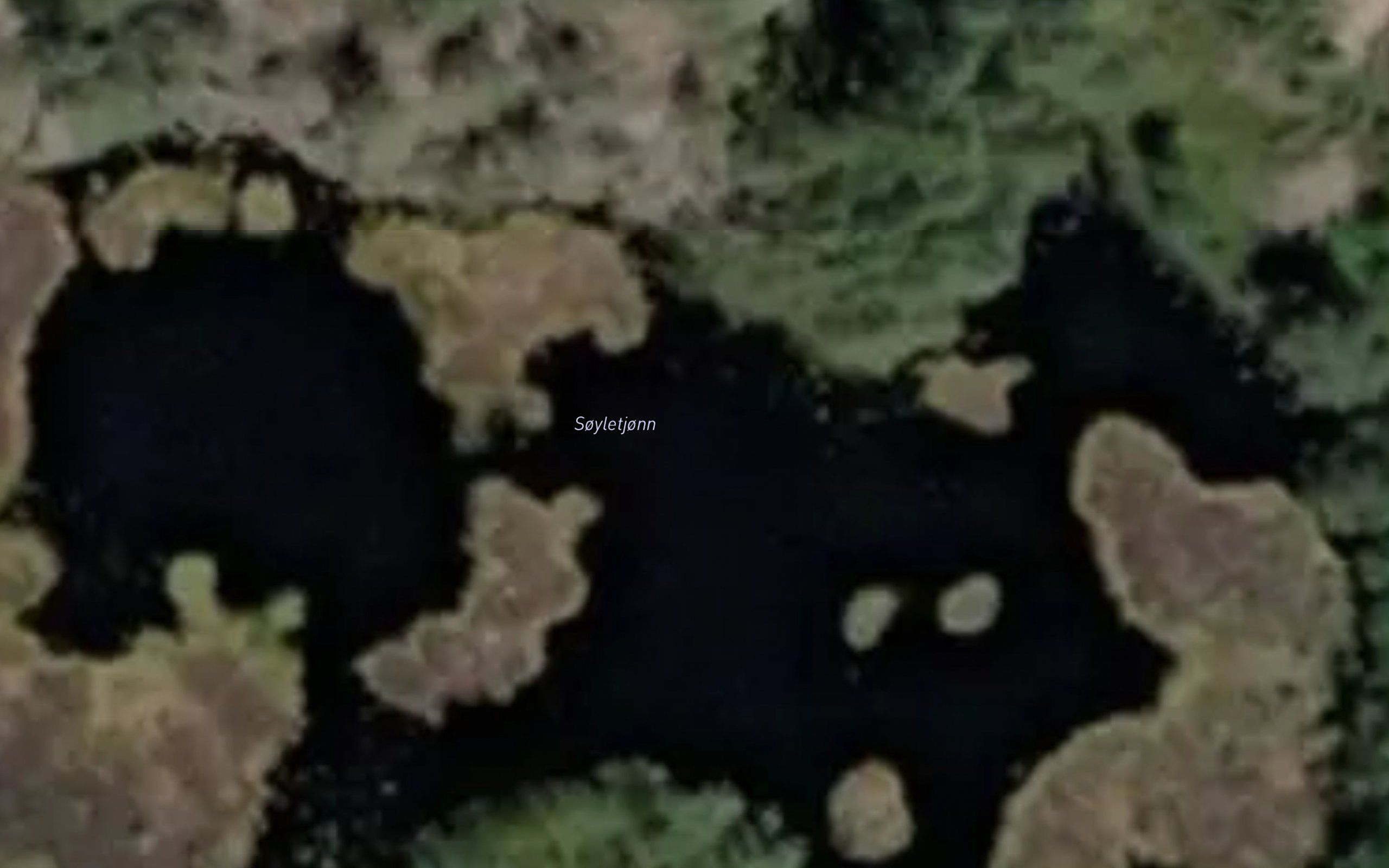 Soyletjorna