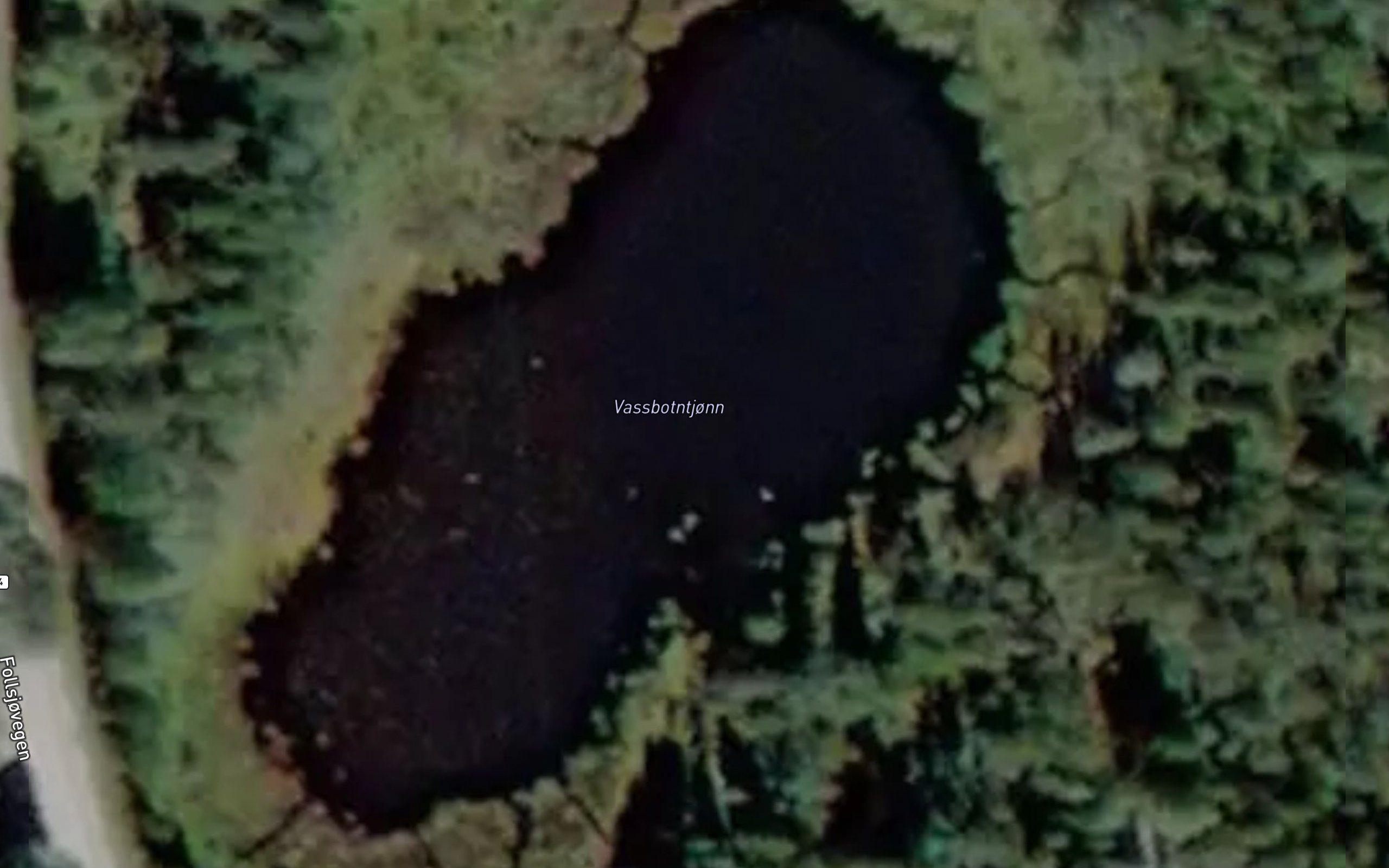 Vassbotntjonn