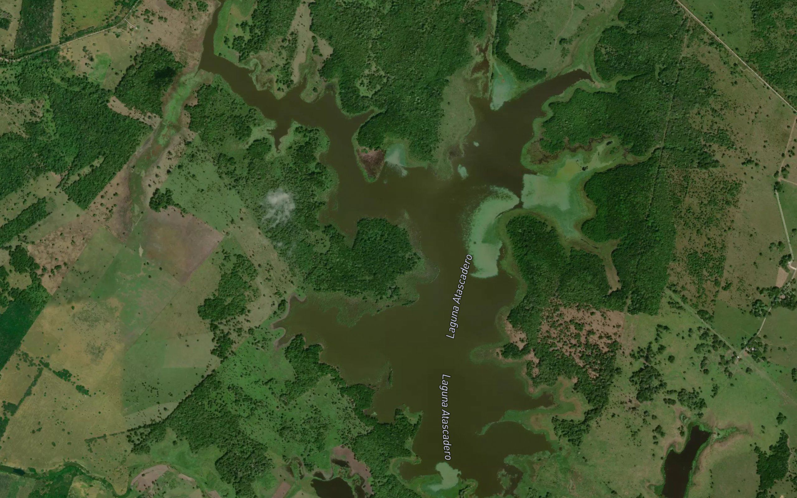 Laguna Atascadero
