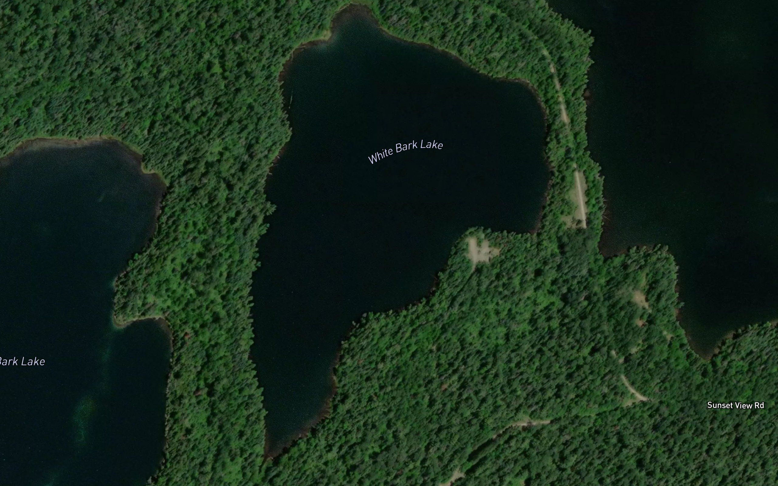 White Bark Lake