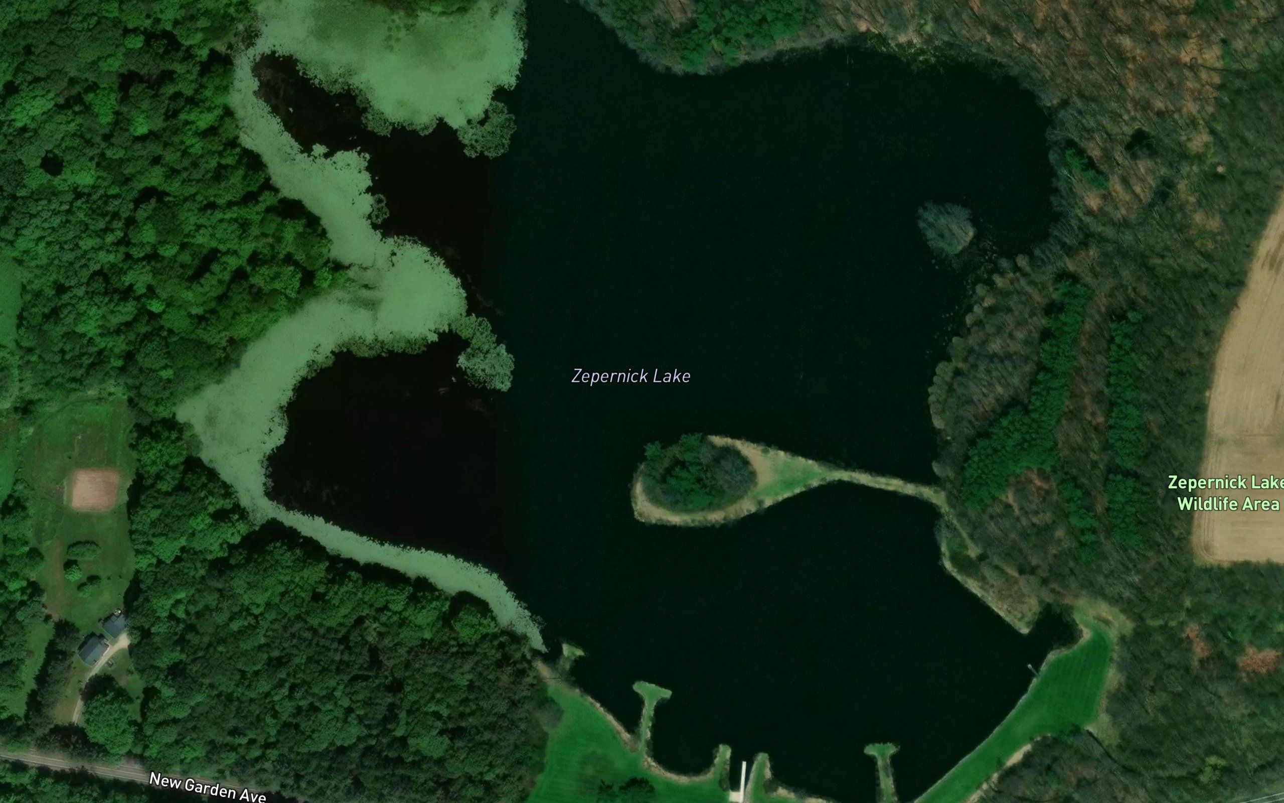 Zepernick Lake