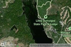 Little Ocmulgee Lake