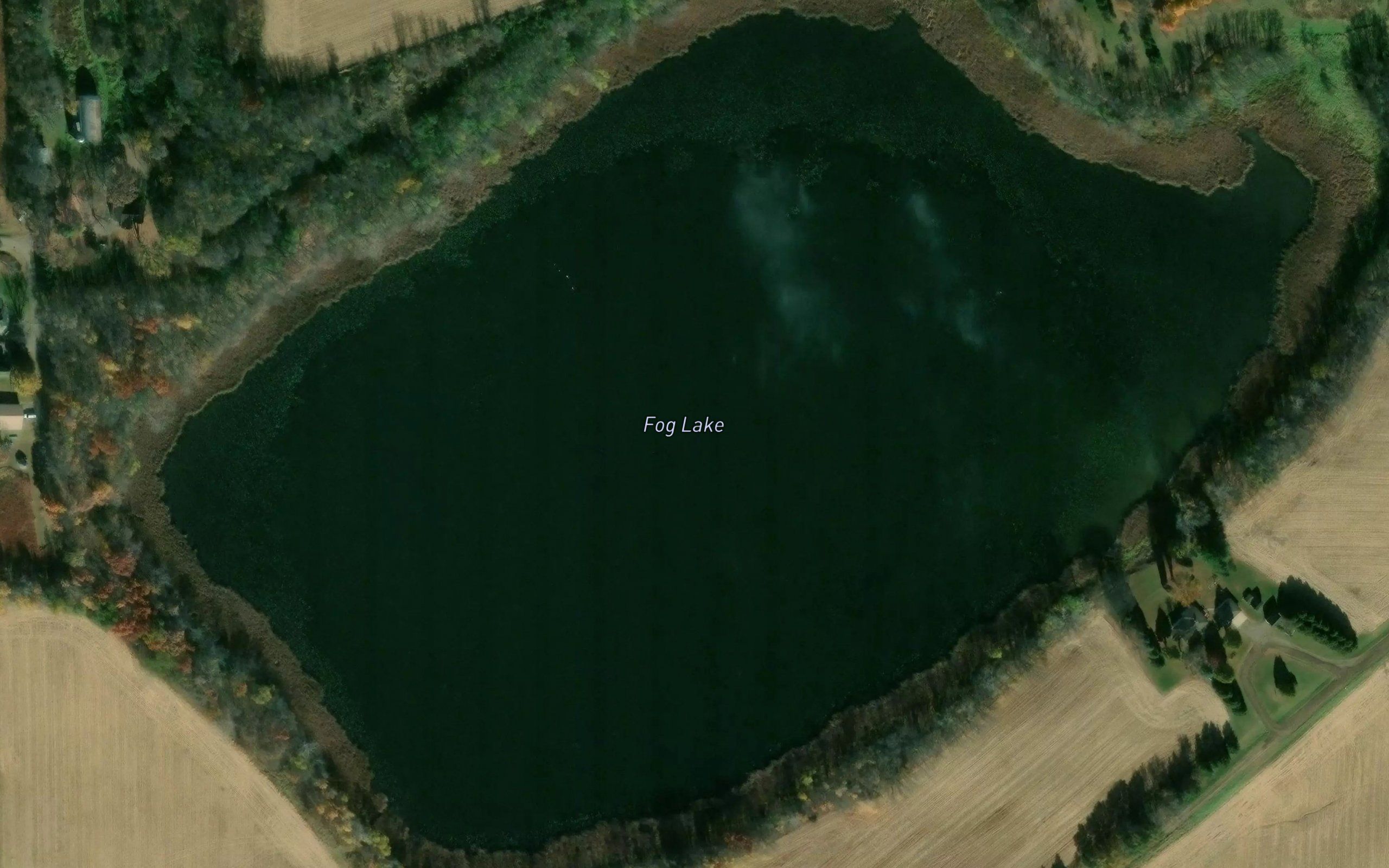 Fog Lake