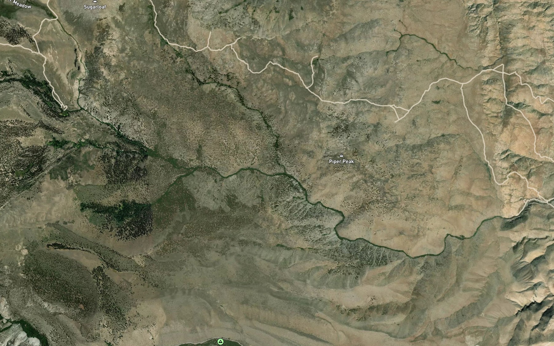 Satellite map of the Onion Creek