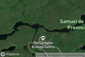 Campion Rapids