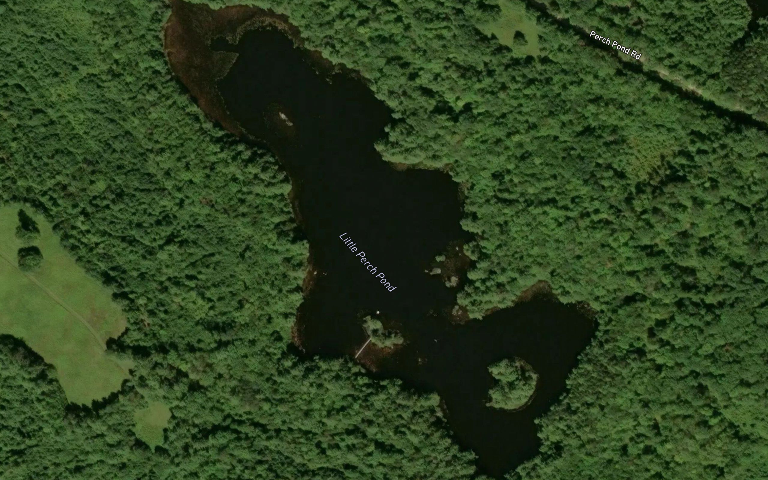 Little Perch Pond