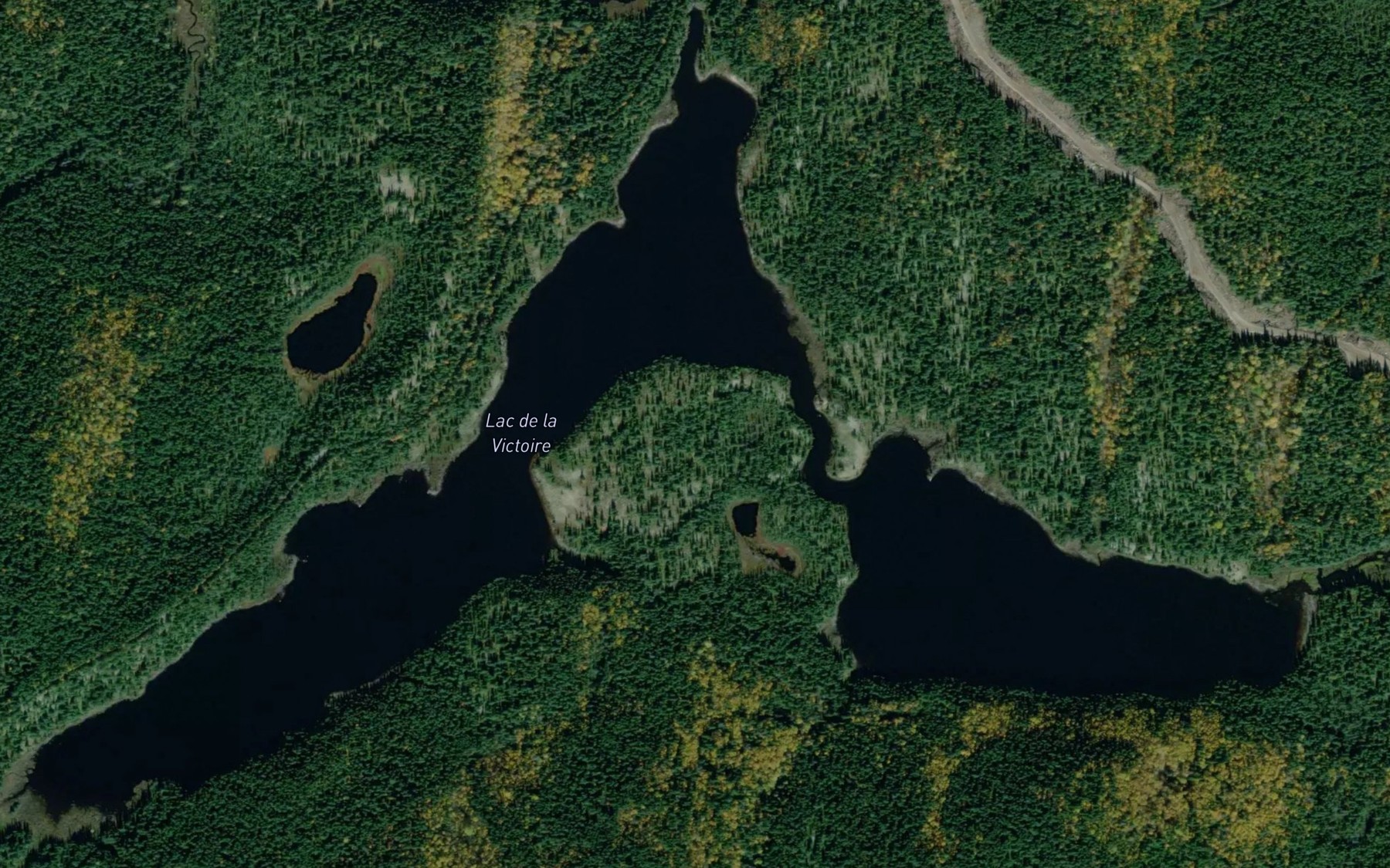 Satellite map of the Lac de la Victoire