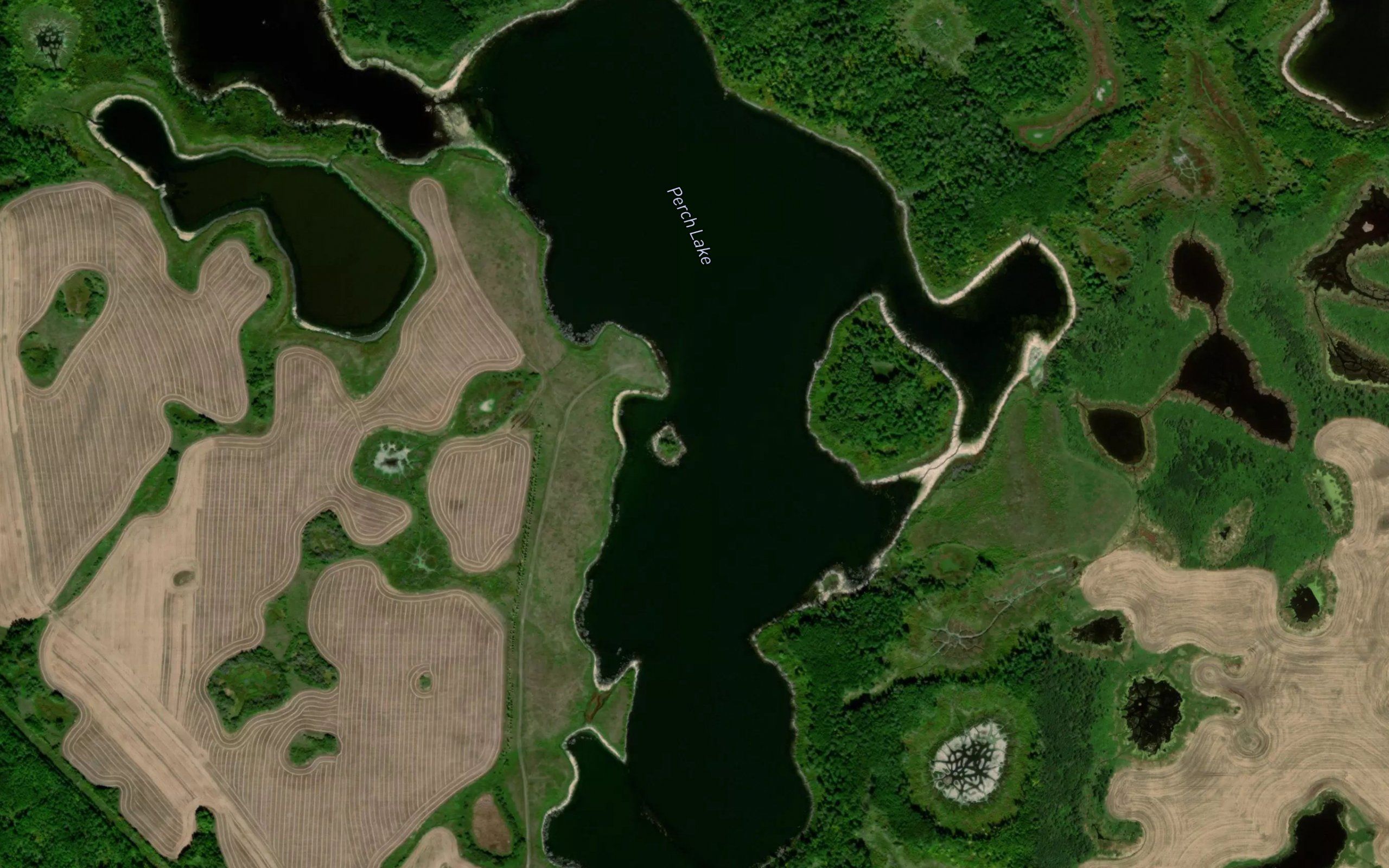 Perch Lake