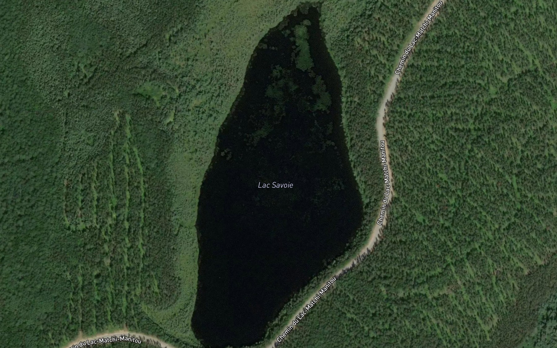 Satellite map of the Lac Savoie