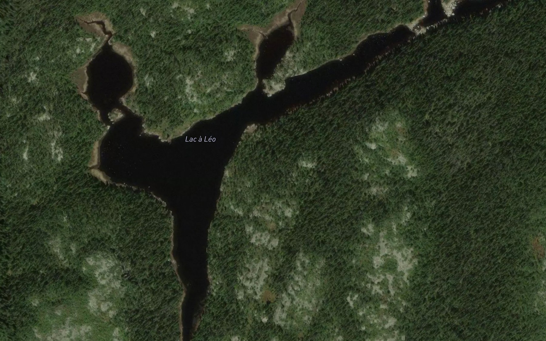 Satellite map of the Lac a Leo
