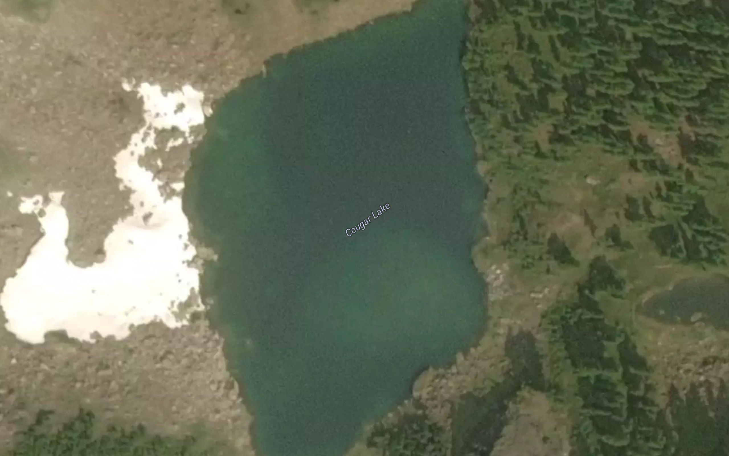 Cougar Lake