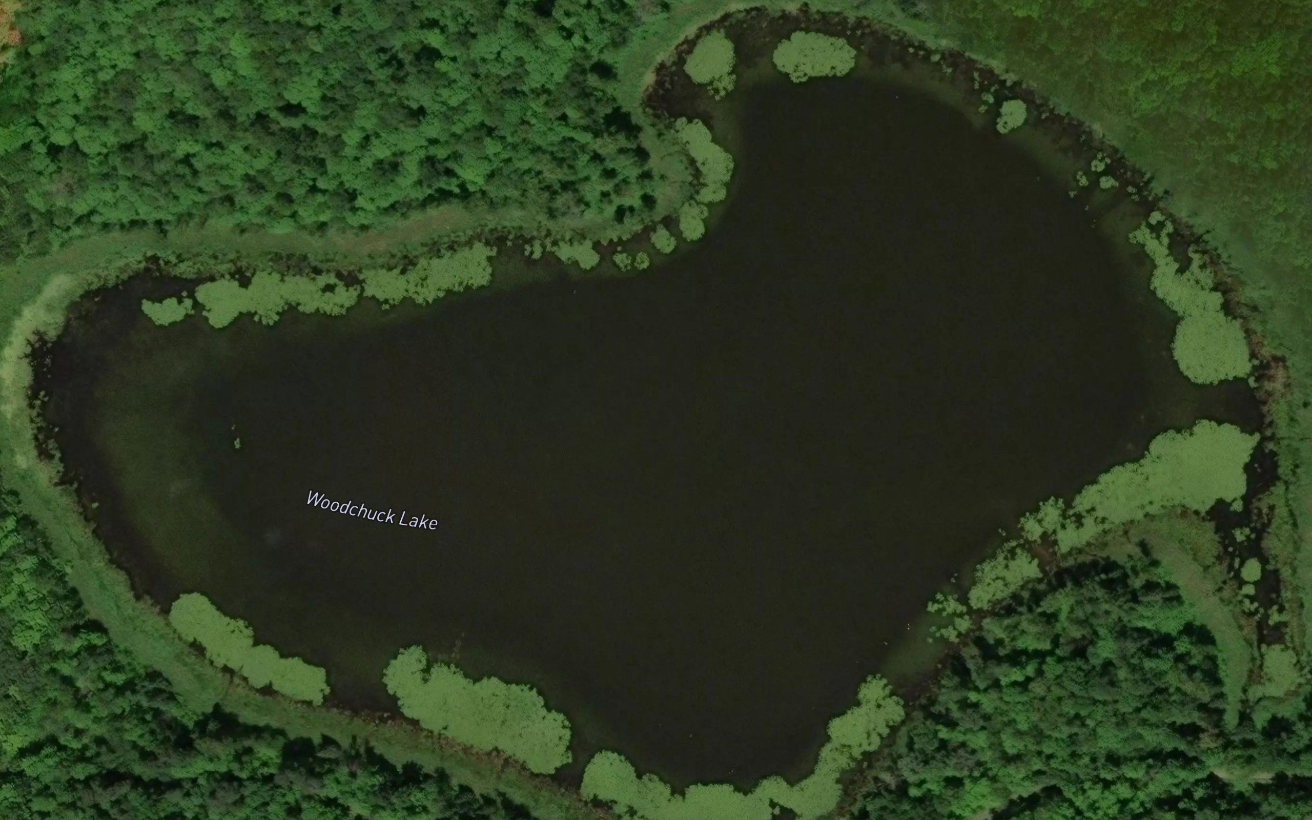 Woodchuck Lake