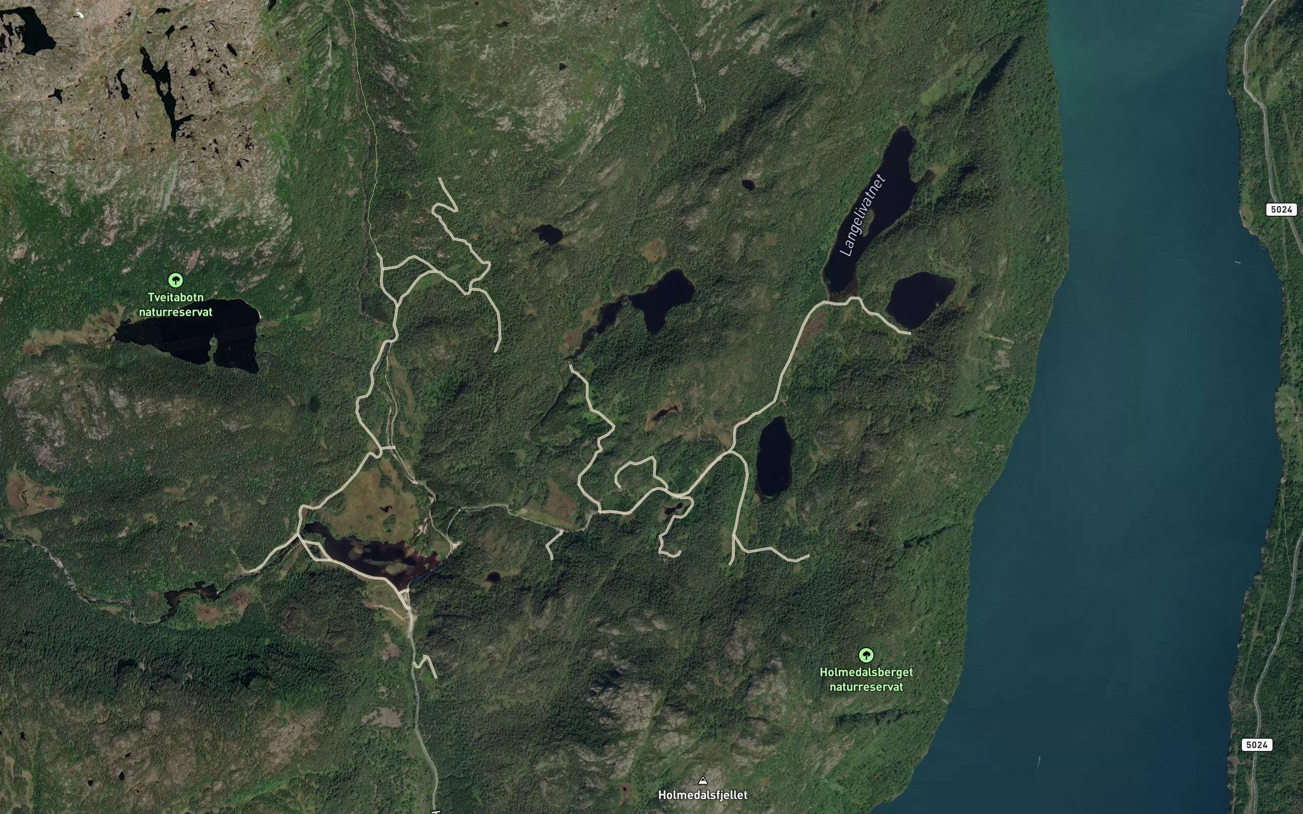 Svartatjorna