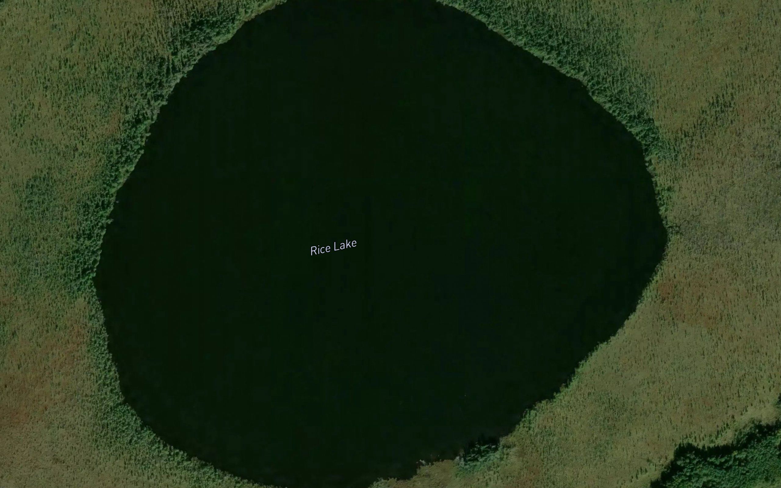 Rice Lake