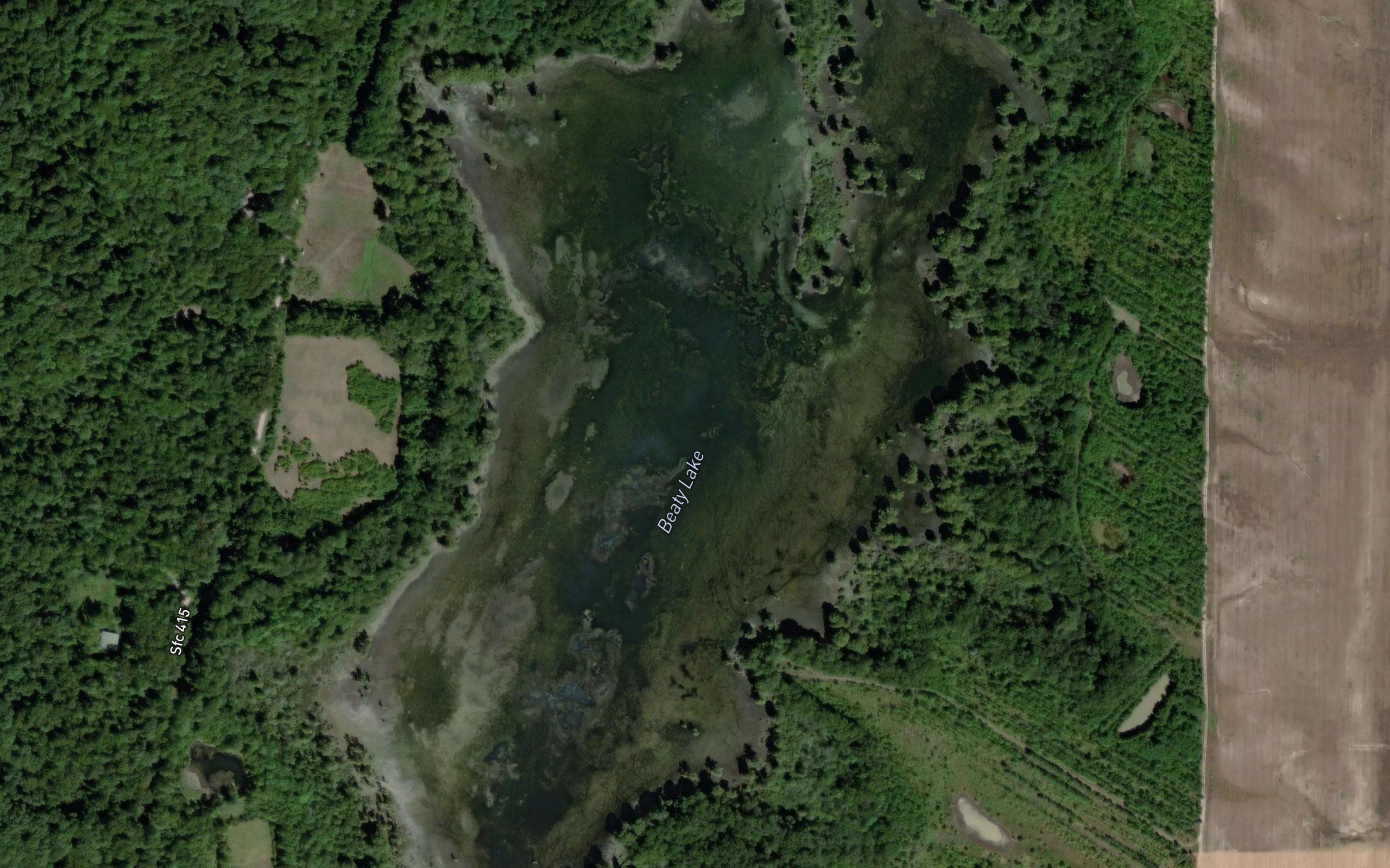 Beaty Lake