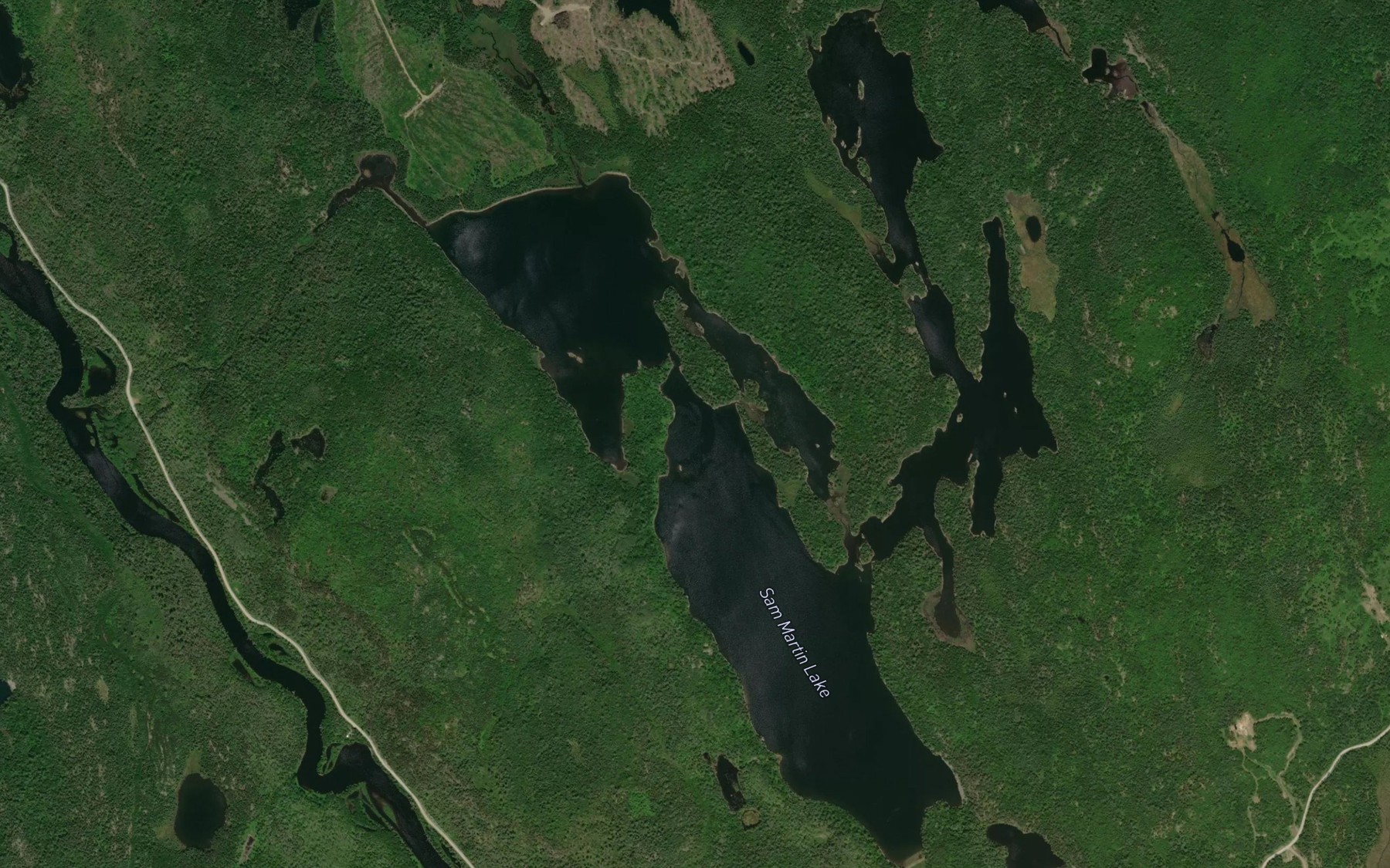 Satellite map of the Sam Martin Lake