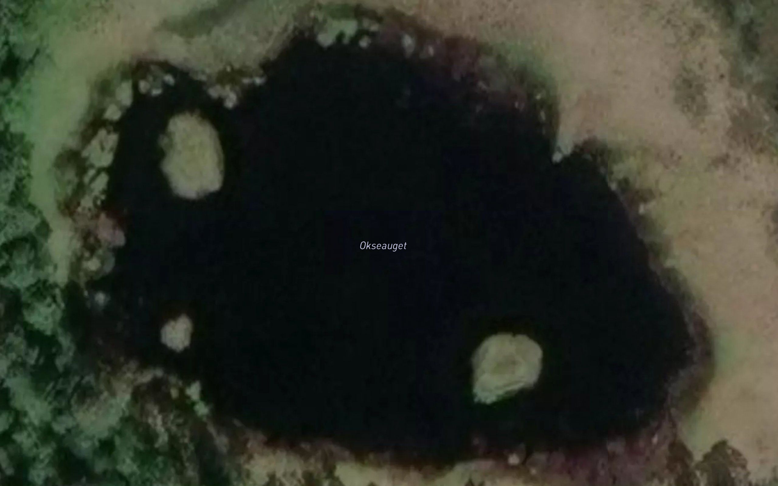 Okseauget