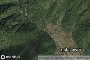 Satral Nar