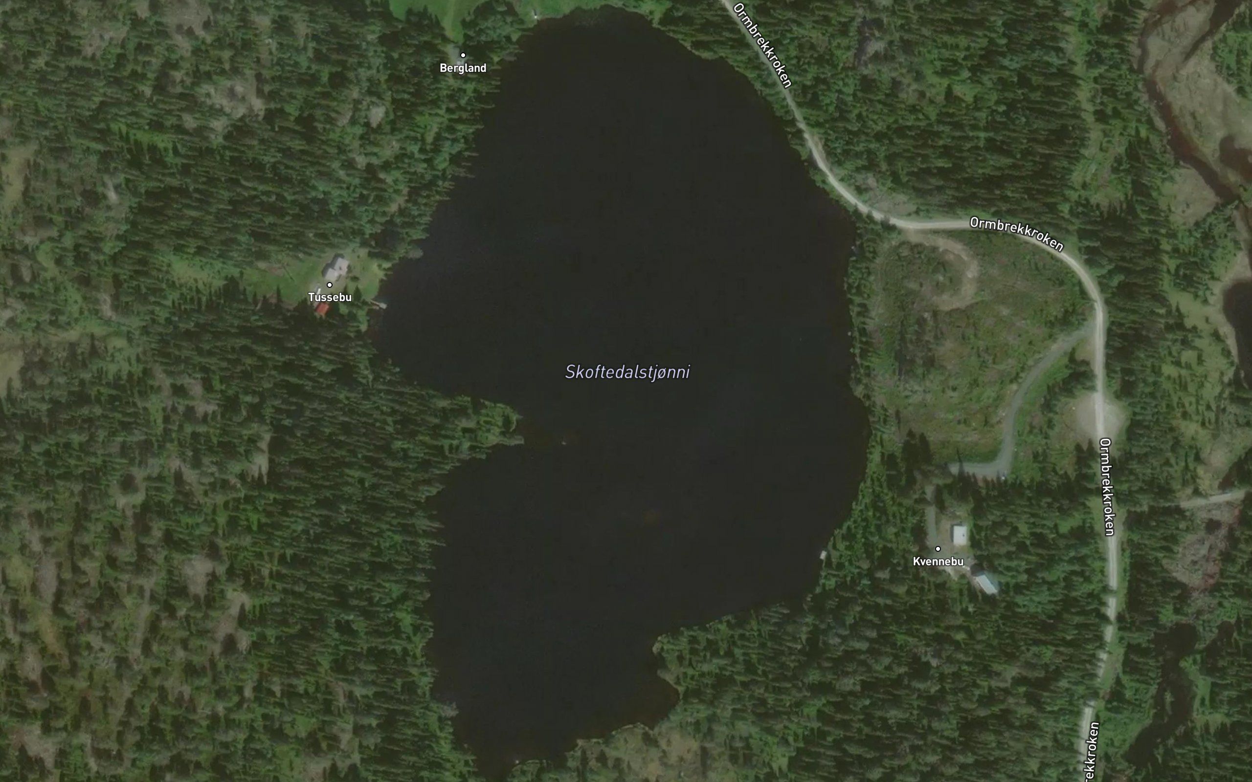 Skoftedalstjorni