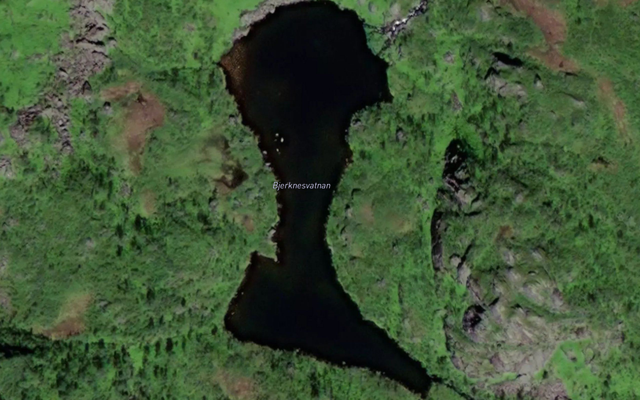 Bjerknesvatnan