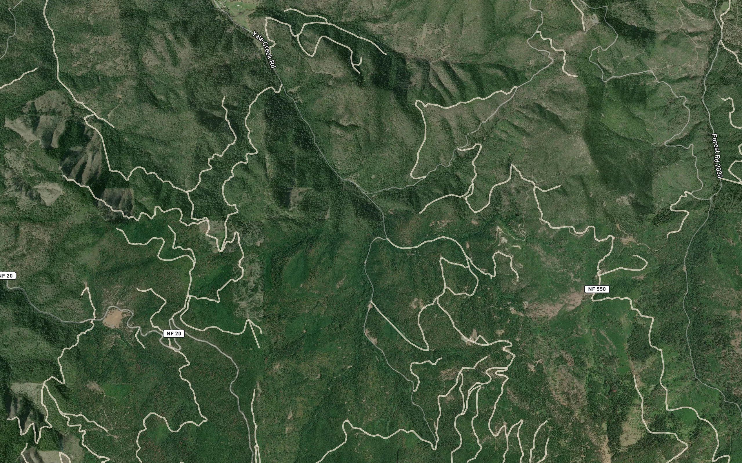 Dog Fork