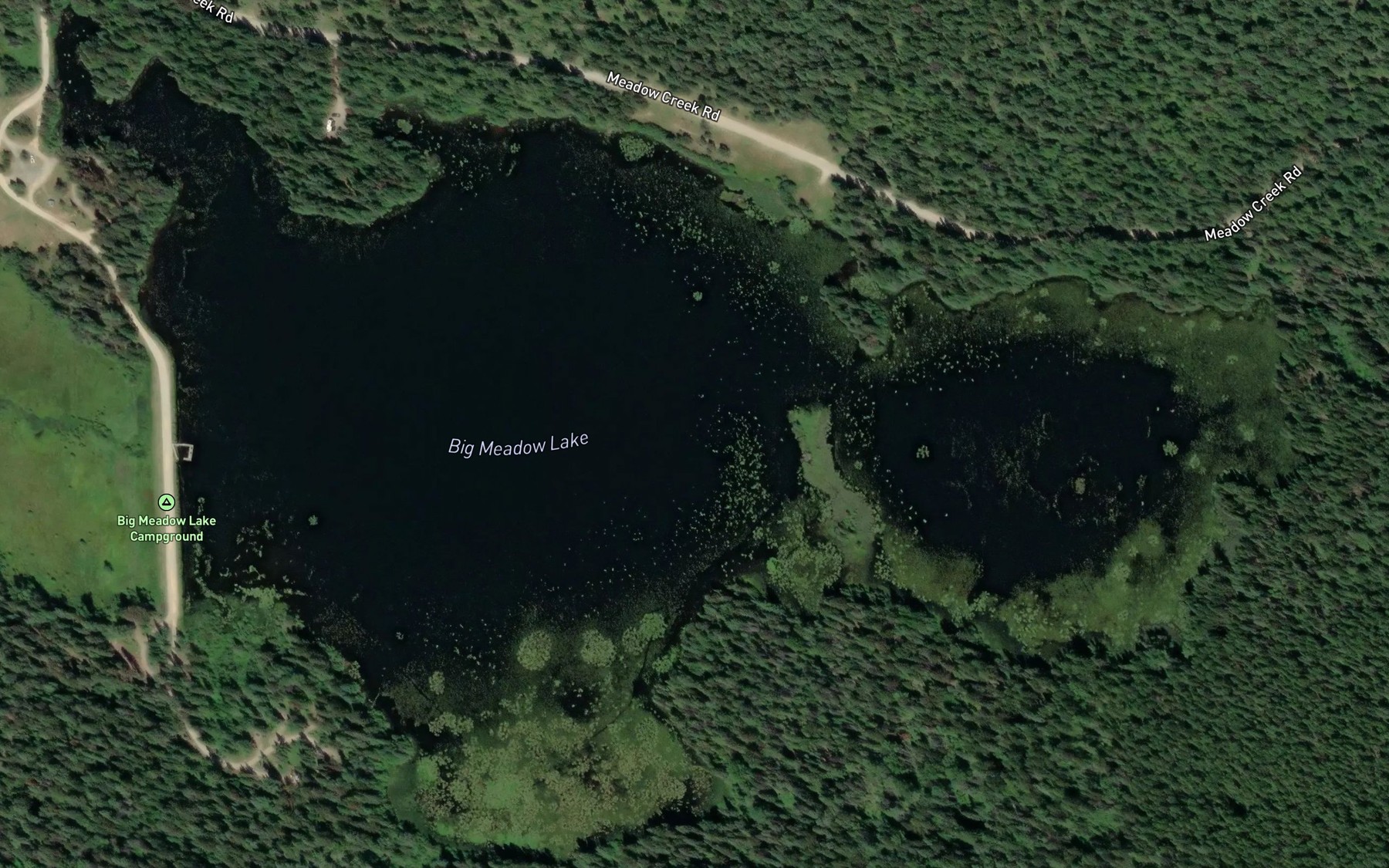 Satellite map of the Big Meadow Lake