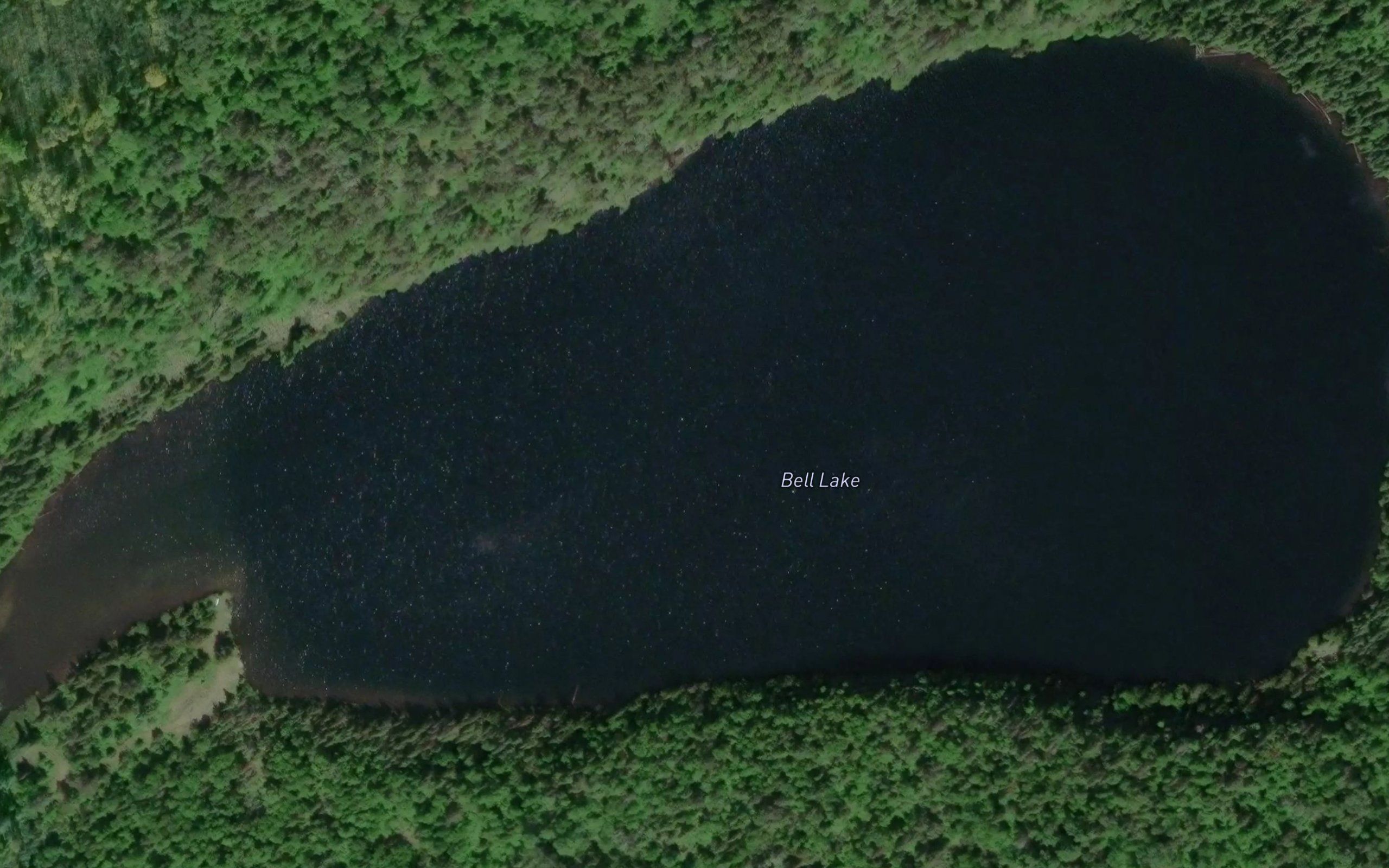 Bell Lake