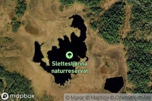 Slaettestjorna