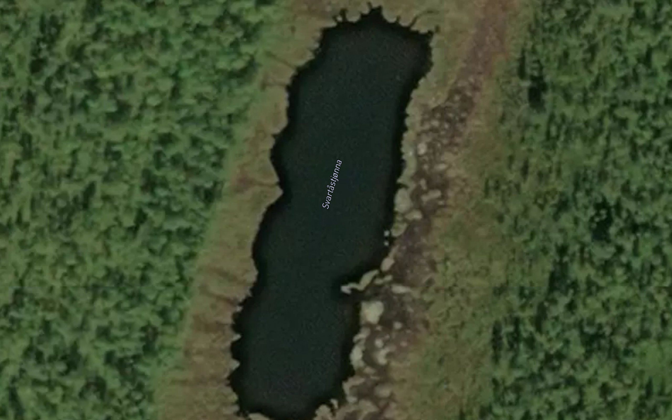 Svartastjorna